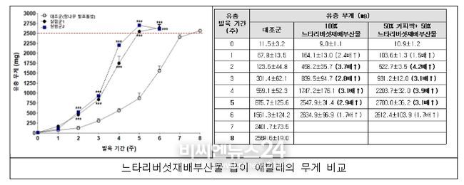 느타리버섯재배부산물 활용 먹이원 급이 흰점박이꽃무지 애벌레의 발육 특성
