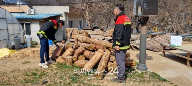 소나무류 이동 단속