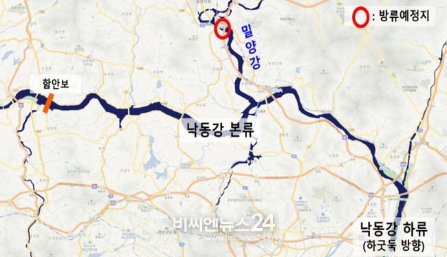 낙동강에 어린 연어 방류