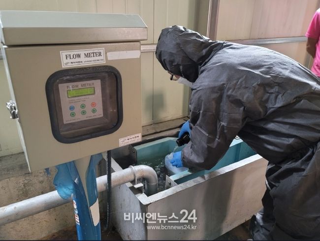 파주시, 6월까지 관내 돼지 농가 ‘환경오염행위’ 집중 점검