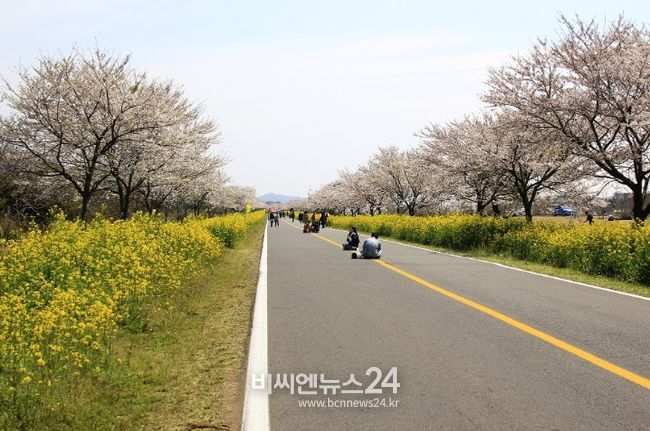 녹산로(2019년 차 없는 거리)