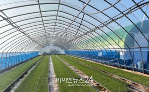 양파 육묘온실