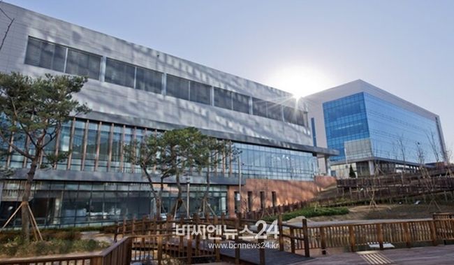 대구시케이메디허브