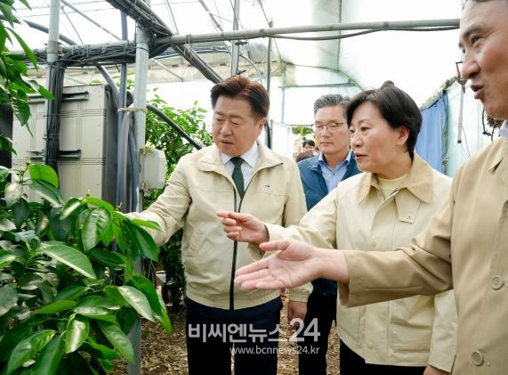 농산물 유통 혁신 모범사례 제주 주목…마늘 피해 정부 지원 방침