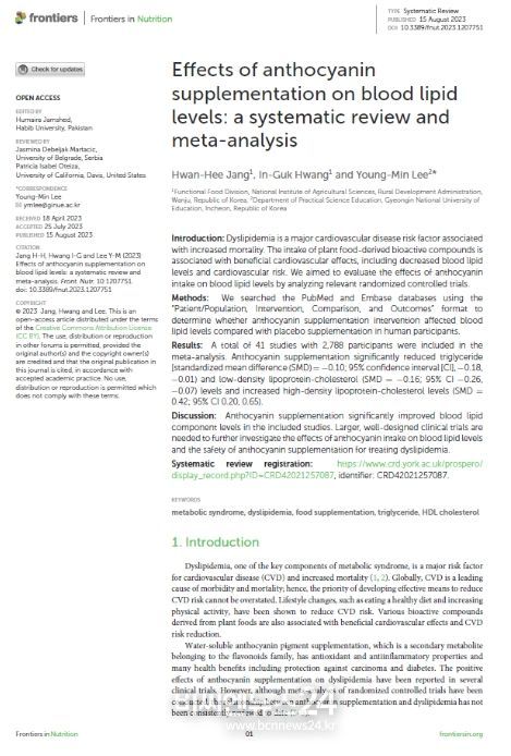 연구 논문 표지