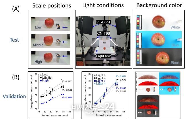 촬영조건 최적화 연구