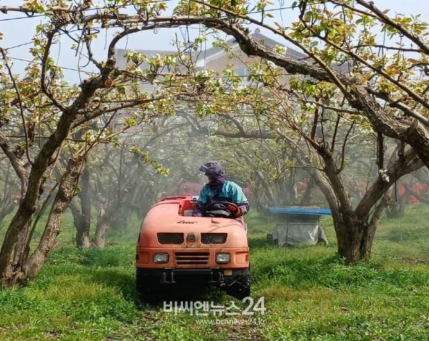 세종시농업기술센터, 개화기 약제방제는 과수화상병 예방의 첫걸음