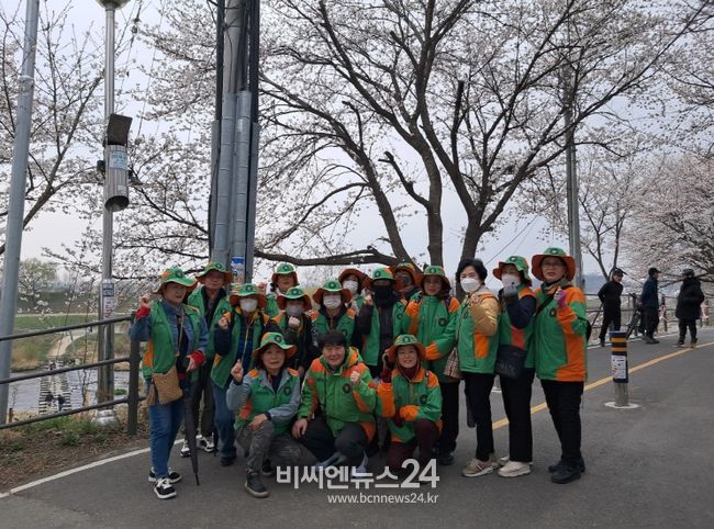 세종시 조천변 벚꽃길을 더 안전하고 쾌적하게