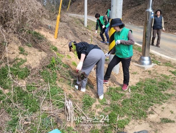 세종시 금남면 새마을회, '금남사랑 식목행사' 개최