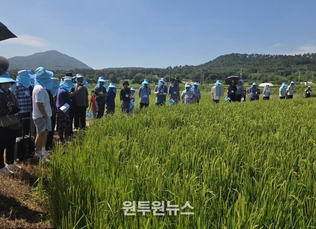 농기원, 기술원 및 홍성·서산·예산 우수 농가 포장서 현장교육