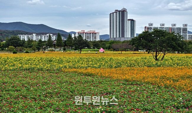 경주시가 황성문화공원 내 유휴부지에 시민과 관광객이 함께 즐길 수 있는 계절별 꽃 정원을 조성했다.