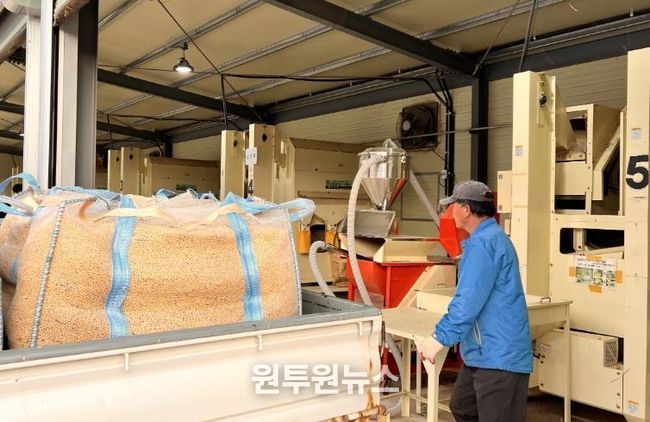 순창군, 콩 자동화 선별장 10월 20일부터 본격 운영