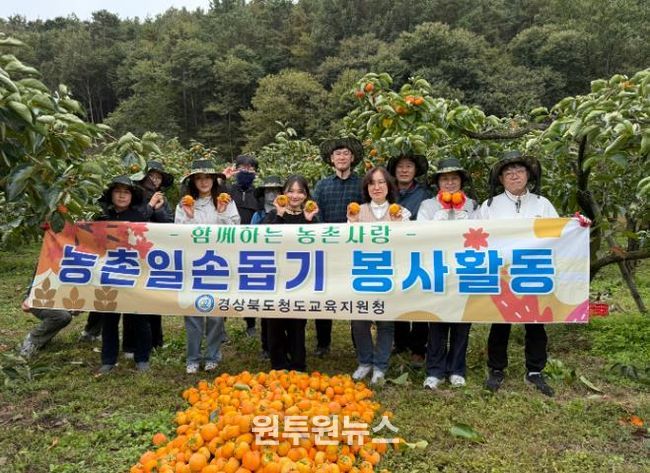 청도교육지원청, 감 수확 일손돕기 봉사활동