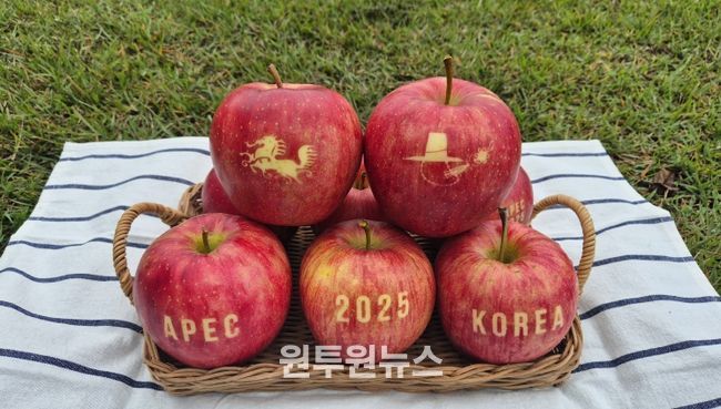 경상북도농업기술원 문자사과