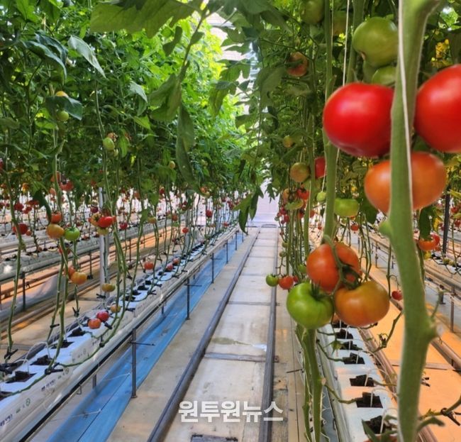 저탄소 농산물 인증으로 탄소중립 농업 선도