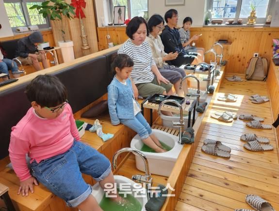 전라남도교육청, ‘녹차 족욕 체험’사진