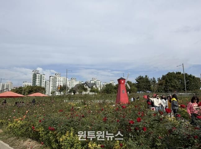 2025년 양주나리농원 가을 개장 성황리 종료