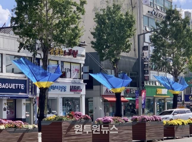 여주시, 은행나무 열매 악취 STOP!