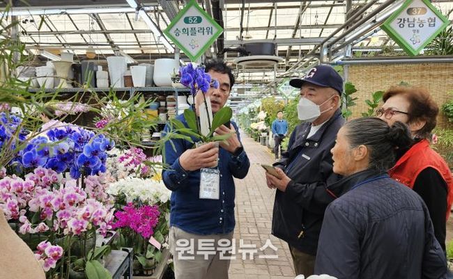 ‘양재동 꽃시장’ 현장 체험 사진