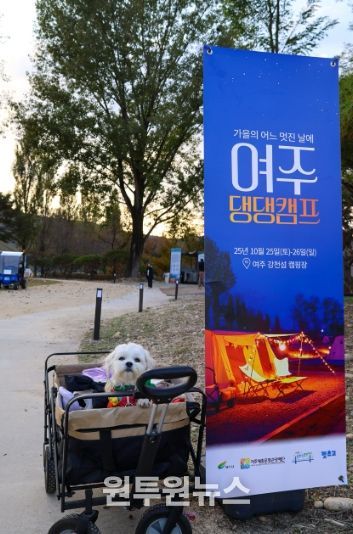 여주세종문화관광재단, 반려동물과 함께하는 1박 2일 ‘댕댕캠프’ 운영