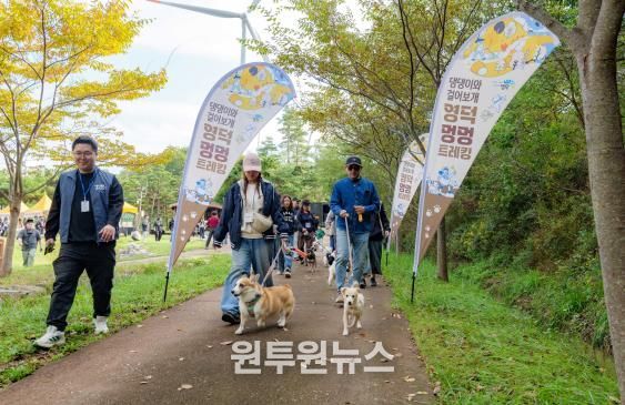 반려견과 함께 즐긴 영덕의 가을소풍 '제1회 영덕 멍멍 트레킹' 성황리 종료
