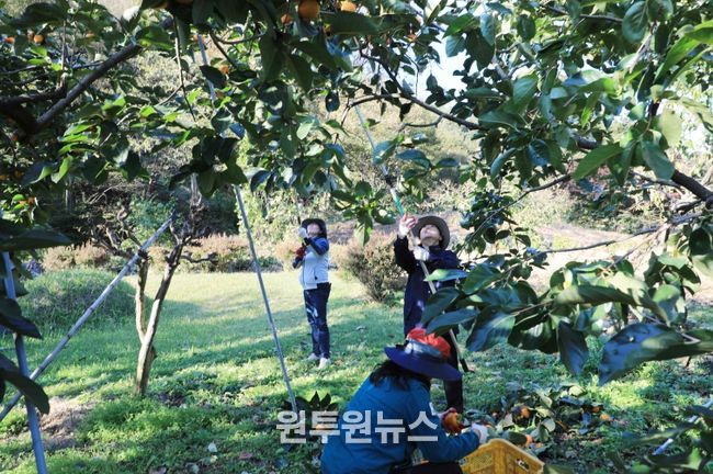 함양군 2025 하반기 농촌일손돕기