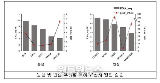 한우 고기 부위별 전사체 분석 결과