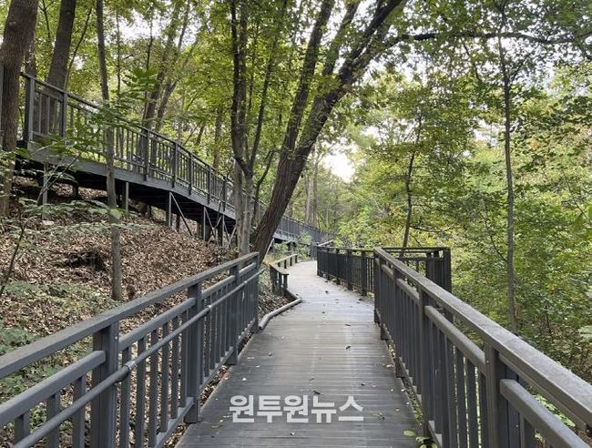 추동숲정원 데크길