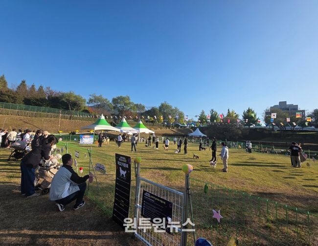 사천시 반려문화축제 ‘우주 댕런 펫스타 4000’ 성황리에 마무리