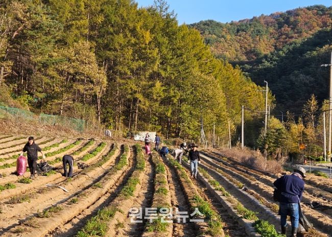 제천교육지원청“공감 동행”하반기 봉사활동 실시