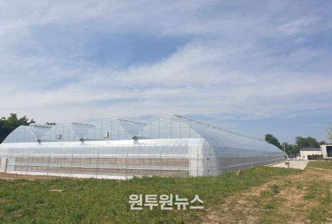 내재해형 비닐하우스