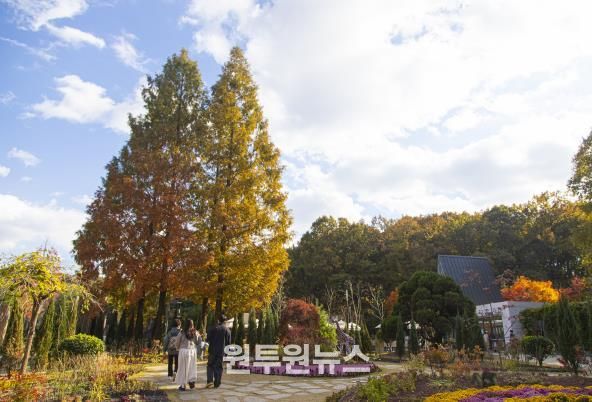 무릉도원수목원