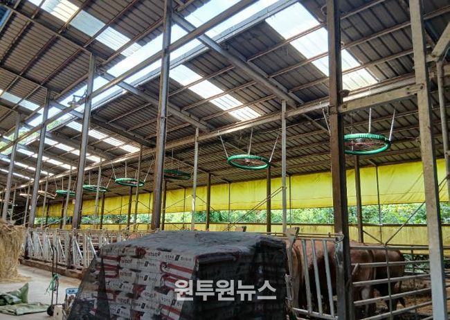 영광군, 한파·대설 등 겨울철 축사피해 예방 대책 추진