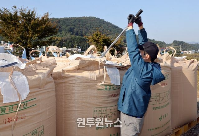 2025년산 공공비축미곡 첫 수매