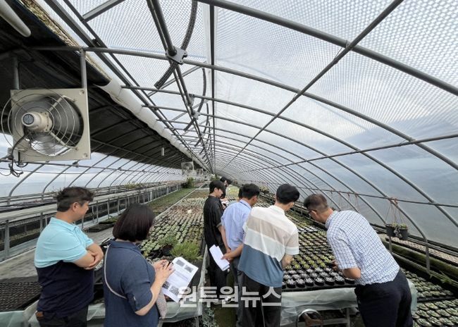 농업기술센터 실증온실에서 커피박과 우분을 혼합한 퇴비 시용 실험이 진행되고 있다.