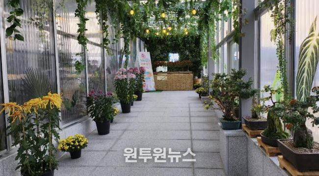 홍성군, 치유쉼터 ‘국화향기 전시 ’ 운영