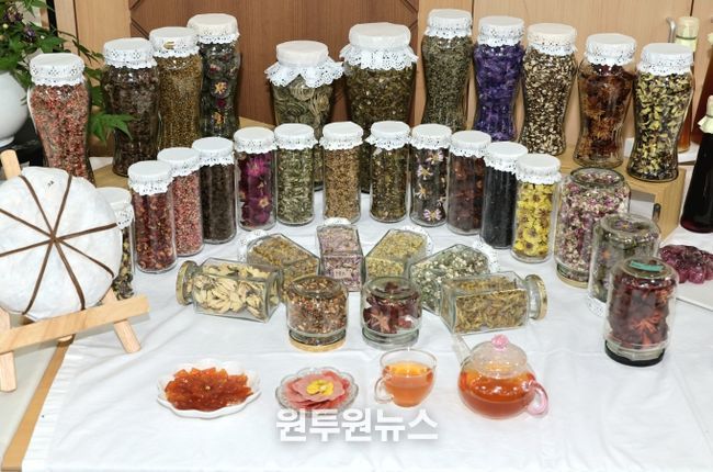 산촌활력 특화사업 숲푸드 포럼