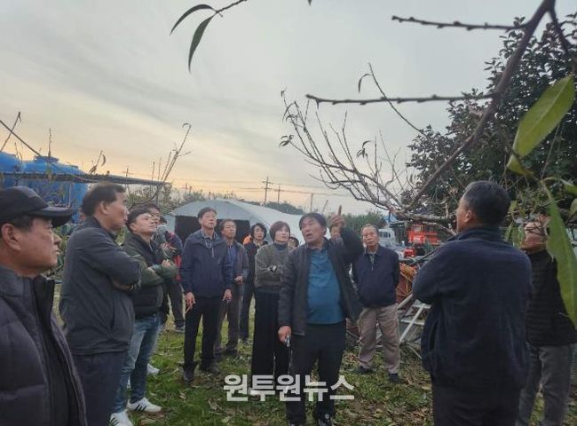 정읍시, “명품 복숭아 비결은 겨울 전정”… 농가 대상 전문 교육