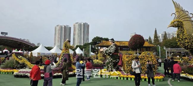 익산 천만송이 국화축제, 연장 전시까지 큰 호응