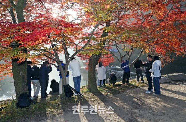 가을 명소 정읍 내장산, 고운 단풍 빛깔 뽐내…“다음 주 절정 예상”