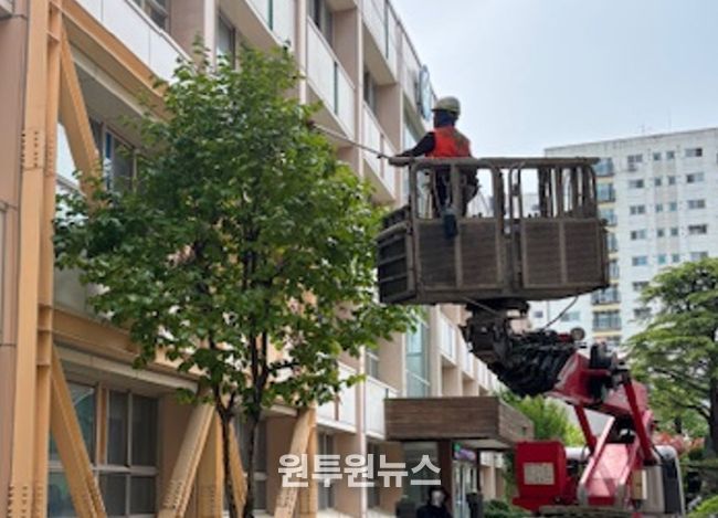 261개교 수목관리 사업