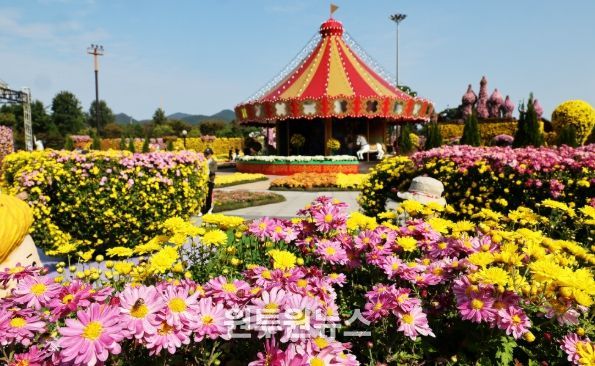 겨울빛축제 포스터, 2025 대한민국 국향대전 전경