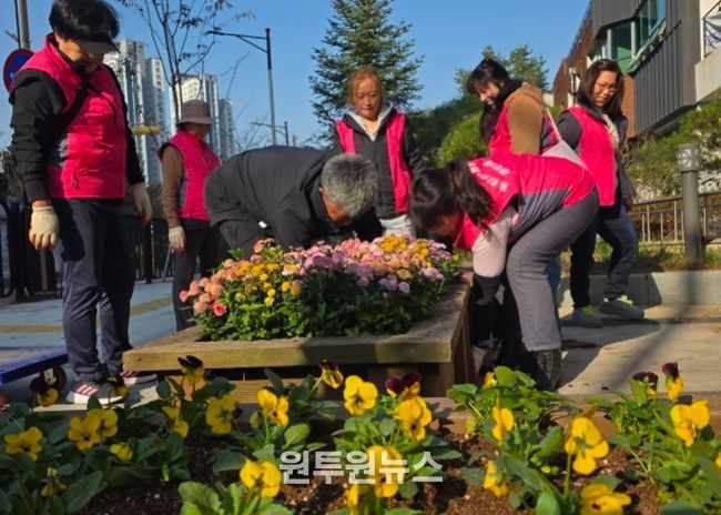 화성특례시 동탄3동 주민들이 청사 및 도로변에 비올라를 식재하고 있다