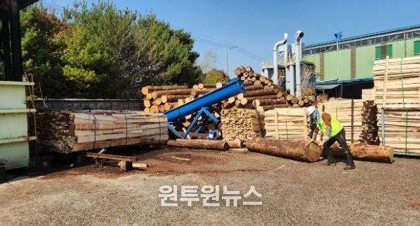 양산시, 2025년 가을철 소나무류 이동 특별단속 실시