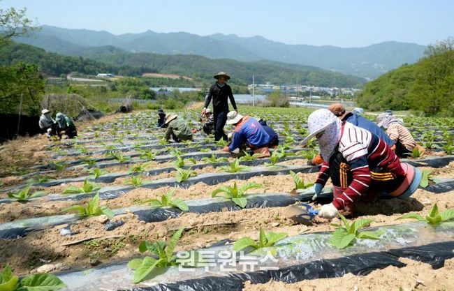 화천군 외국인 계절 근로자 결혼이민자 본국 가족 모집