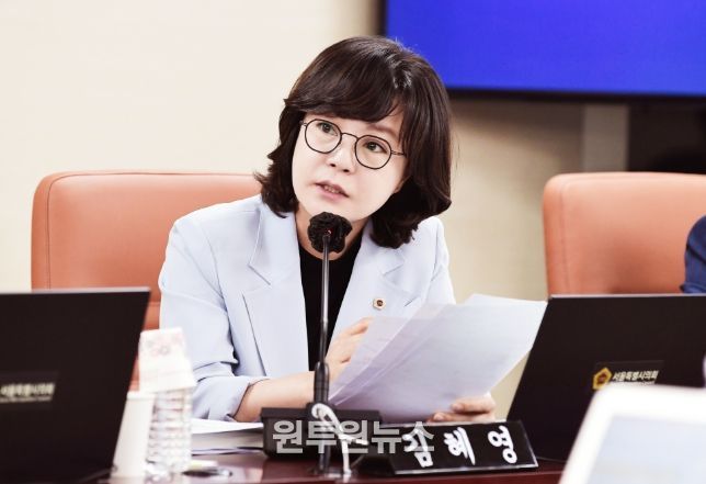 김혜영 서울시의원