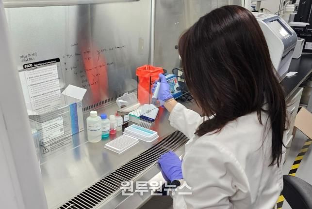 세종시 구제역 백신 항체 양성률 '우수'