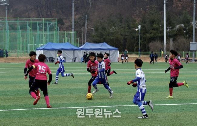 산청군수배 전국 유소년 축구대회 14일 킥오프