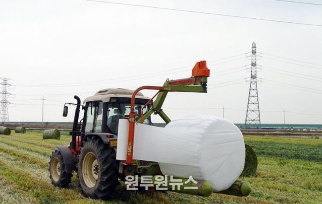 정읍시, 농식품부 조사료 전문단지 조성사업 공모 선정…국비 36억 확보