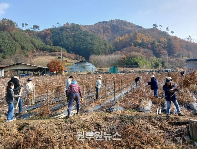 금산다락원 가을철 농촌일손돕기